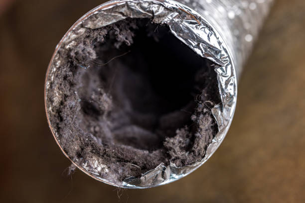 Best Air Duct Mold Removal  in Seabrook Island, SC